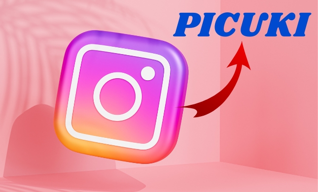 picuki Instagram Editing tool