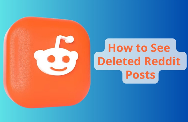 How to See Deleted Reddit Posts