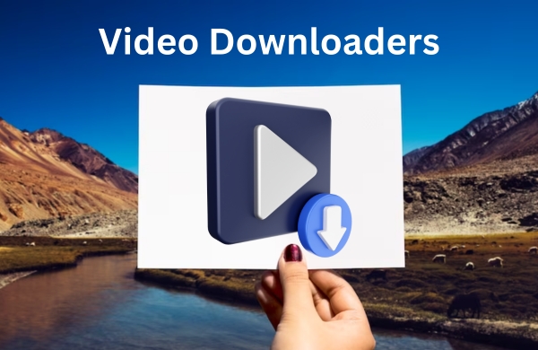 Video Downloader