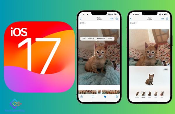 Live Stickers in iOS 17