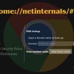 chrome net internals dns