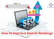 Improve Search Rankings