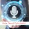 Voice Search Optimization