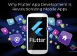 Flutter App Development